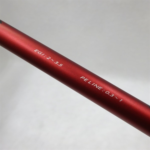 １９ＥＧＲＲＳ７９Ｍ